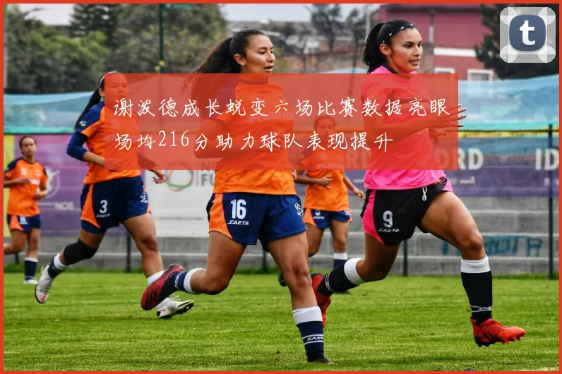 谢泼德成长蜕变六场比赛数据亮眼场均216分助力球队表现提升