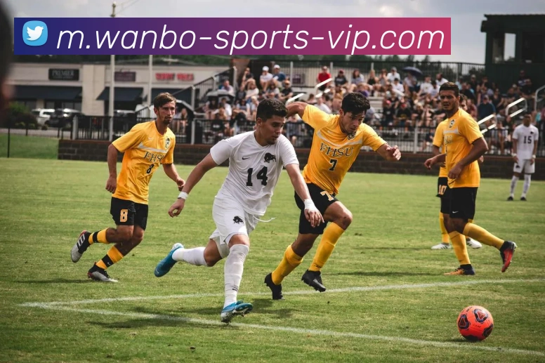 数据防护可视化